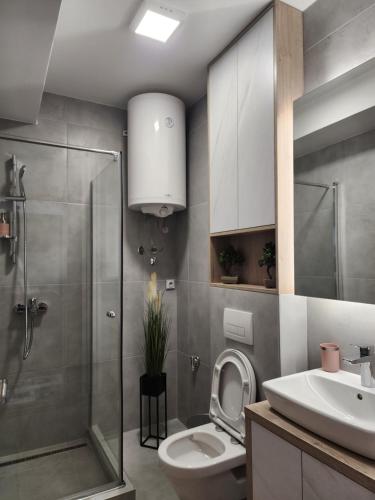 uma casa de banho com um WC, um lavatório e um chuveiro em Arena Lux em Novi Beograd