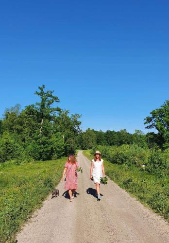 Gallery image of Lavendeltorpet in Häggum