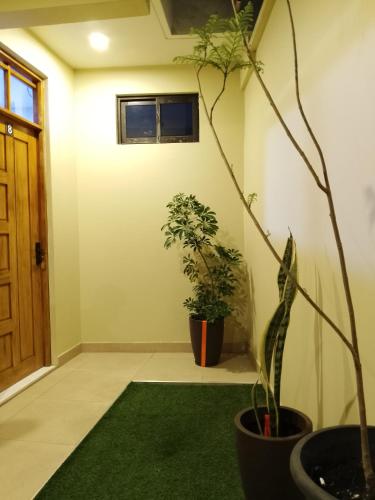 een kamer met twee potplanten en een deur bij Lolitas Alojamiento Quillacollo in Cochabamba