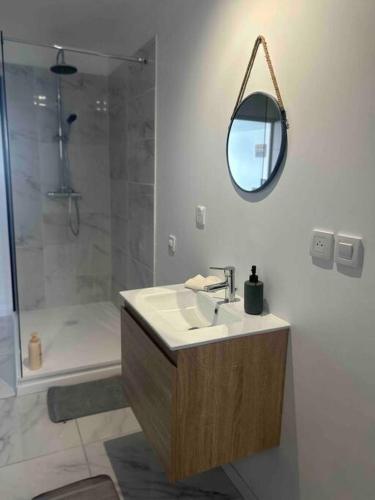 une salle de bain avec un lavabo, une douche et un miroir dans l'établissement Appartement proche centre ville, à Castres