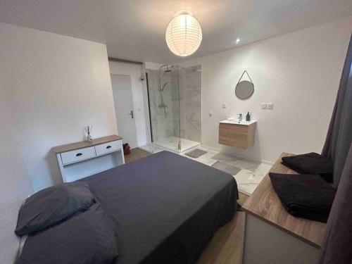 een slaapkamer met een bed en een badkamer met een douche bij Appartement proche centre ville in Castres