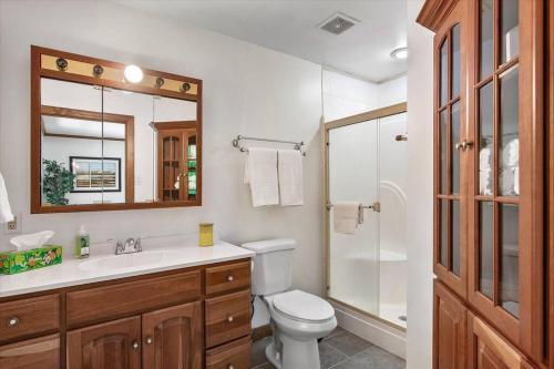 リッチモンドにあるSerenity in the Suburbs: Your Gorgeous RVA Getawayのトイレ、洗面台、鏡を備えたバスルーム