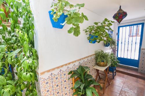 a room with lots of potted plants on the wall at Casa el "Tablao de las Almendras" in Granada