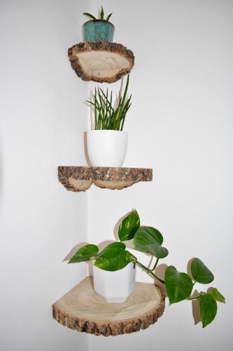 a shelf with two pots and a plant on it at Stylish centrally-located studio with parking in Croydon
