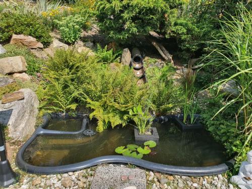 a koi pond with lilies in a garden at Penzión Eva in Stará Voda