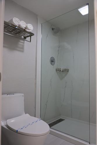 a white bathroom with a shower and a toilet at Airport Inn in Nederland