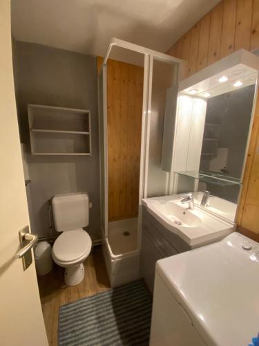 A bathroom at Appartement Le cheval Blanc VALMOREL 2ch 2sdb