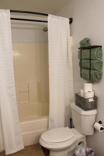 a bathroom with a toilet and a shower at Setting the right vibes. in Killeen