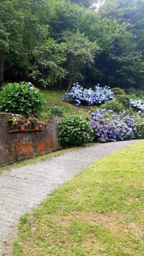 a bunch of flowers in a garden with a sidewalk at Chalet Anna Chiara in Arola