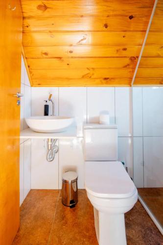 a bathroom with a white toilet and a sink at Chale com hidromassagem Casa Papai Noel in Campos do Jordão