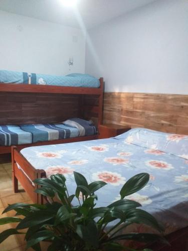 波薩達斯的住宿－Residencial Santiago Habitaciones Hotel bed & break fast，一间带两张床的卧室和植物