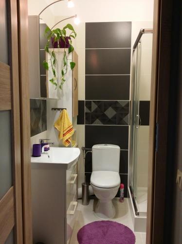 Ένα μπάνιο στο Apartamenty Słupsk