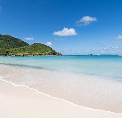 a beach with the ocean and mountains in the background at Le Palmier Bleu, cocon tropical, plage & piscine in Anse Marcel 