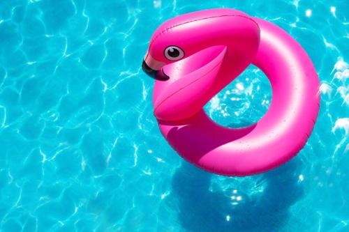 a pink swan float in a swimming pool at Le Palmier Bleu, cocon tropical, plage & piscine in Anse Marcel 