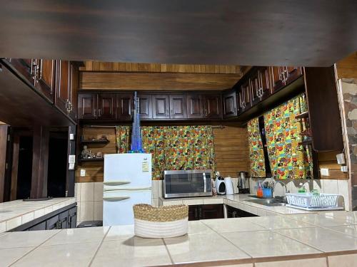 a kitchen with a white refrigerator and a microwave at CABAÑA EL REPOSO in Turrialba