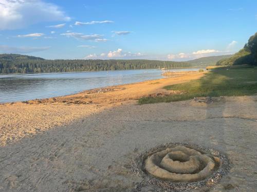 a sandcastle on a beach next to a body of water at Apartmány HÁJOVNA Lipno in Loučovice