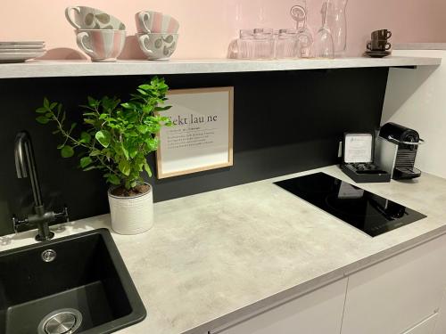 a kitchen counter with a sink and a plant at Villa Wickenburg in Salzburg