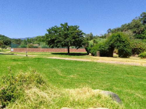 a green field with a tree in the middle of it at L'Original, Superbe appartement à 5min de la plage in Zonza