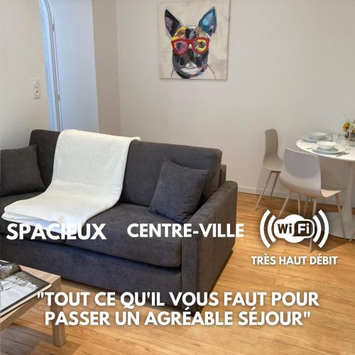 - un canapé dans le salon orné d'une peinture de chat dans l'établissement Premium Appart Albi, à Albi