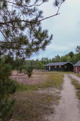 a house in the middle of a field with a dirt road at Bay Point Hideaway in the Woods in Beulah