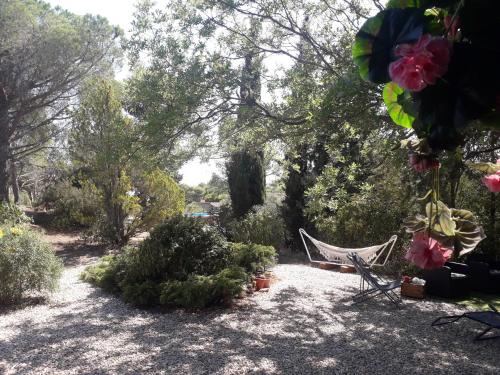 Chalet les Cigalines au calme