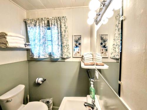 W łazience znajduje się umywalka, toaleta i lustro. w obiekcie #04-Adorable Large 1 Bedroom Lakeside Cottage- Pet Friendly w mieście Hot Springs