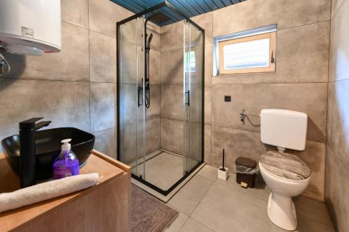 a bathroom with a shower and a toilet at Guest House Martin in Korana