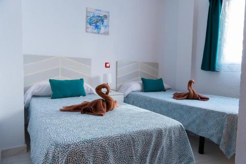 Apartamento Maracuya