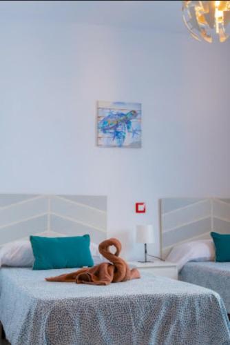 Apartamento Maracuya