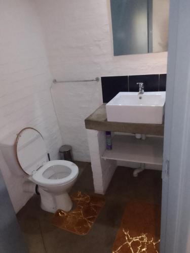 een badkamer met een toilet en een wastafel bij The Eden lodge in Johannesburg