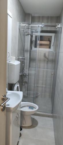 ein Bad mit einer Dusche, einem WC und einem Waschbecken in der Unterkunft Apartman Vera in Užice