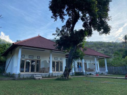 a white house with a tree in the yard at Comeon Amed in Amed
