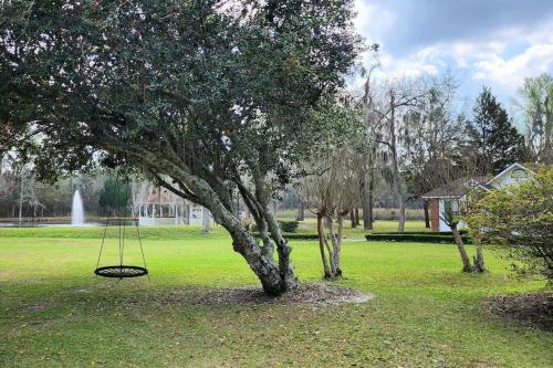 a swing hanging from a tree in a park at A retro rejuvenation in Midway