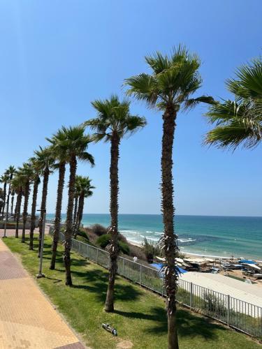 a row of palm trees next to a beach at Sea breeze in Bat Yam