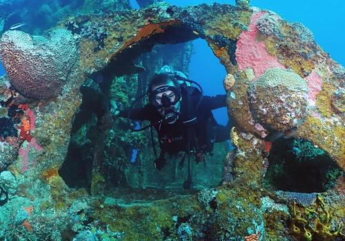 a diver in a cave in a coral reef at Hidden Valley Villa in Teagues Bay