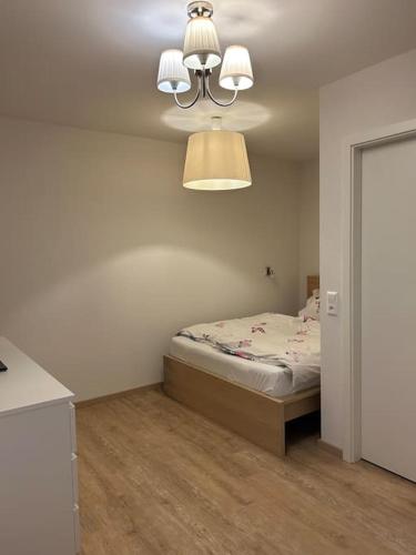 een slaapkamer met een bed en een kroonluchter bij Boardinghouse Rheinfelden 1 in Rheinfelden
