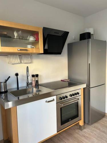 uma cozinha com um frigorífico de aço inoxidável e um lavatório em Boardinghouse Rheinfelden 1 em Rheinfelden