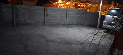 a dog is walking around in a concrete area at Comeon Amed in Amed