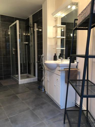 une salle de bain avec un lavabo et une douche avec un miroir dans l'établissement La Suite du Vieux Moulin, à Luchon