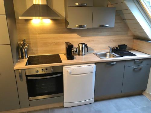 une petite cuisine avec un évier et une cuisinière dans l'établissement La Suite du Vieux Moulin, à Luchon