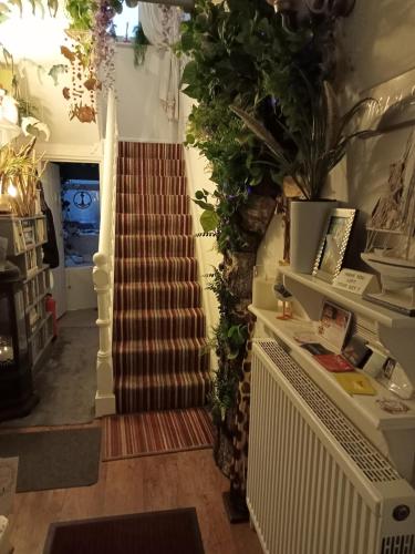a spiral staircase in a store with plants at Marjune Guest House in Weymouth