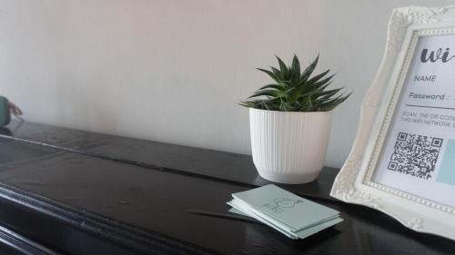a plant in a white vase sitting on a table at Il Biru in Montelupo Albese