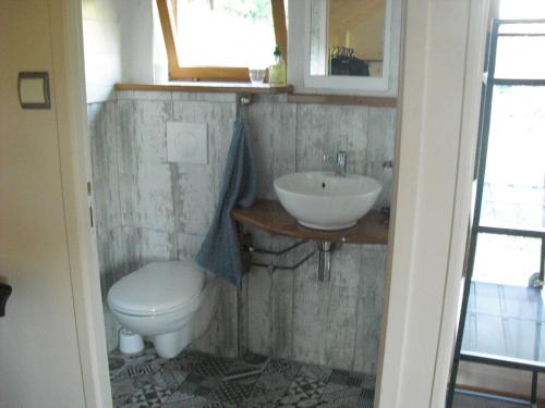 a bathroom with a sink and a toilet at la quatorze in Baume-les-Dames
