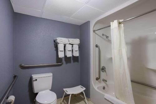 a bathroom with a white toilet and a shower at Quality Inn & Suites in Big Rapids