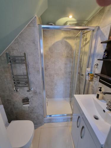 a bathroom with a shower and a toilet and a sink at Single room with en-suite shower room in Zone 1 London in London