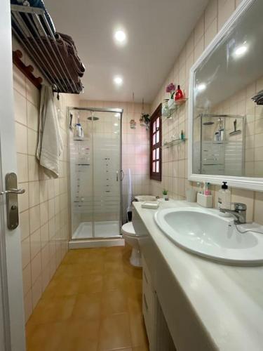a bathroom with a sink and a shower and a toilet at Bungalow con jardín y piscina in San Bartolomé de Tirajana