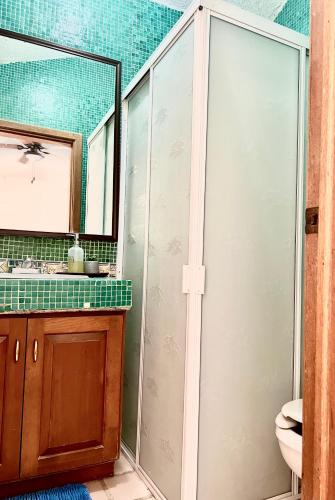 a bathroom with a shower and a sink and a mirror at Estudio Con Alberca in San José del Cabo