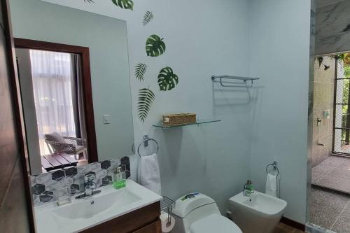 a bathroom with a sink and a toilet and a mirror at Villas Töcu-Casa Perezoso in Fortuna