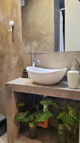 a bathroom with a white sink on a counter with plants at Interra Apart 2 in Salta