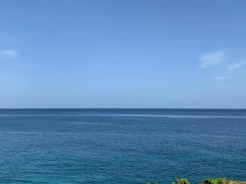 Irie Vibes Ocean View